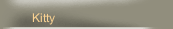 Kitty